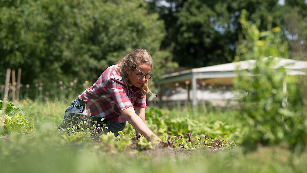 Teelten Combineren Loont Ekoland Nl Nieuws En Kennis Voor De