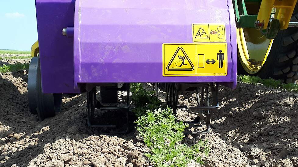 De machines van Feldklasse frezen door de grond en kunnen tot 1,5 centimeter dicht bij het gewas werken. Ook met schoffels uit te rusten.