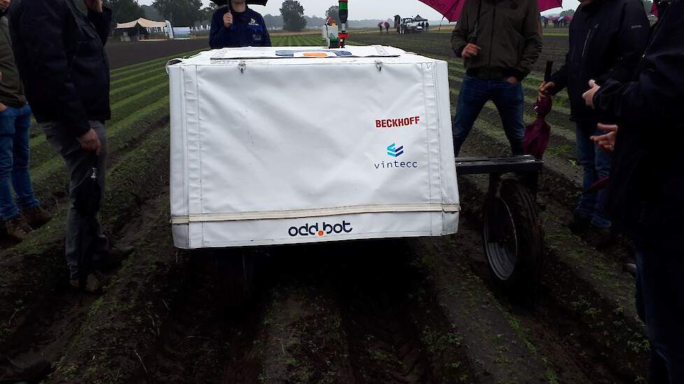 Wiedrobot Quirky van Odd.bot kan tot nu toe vooral in de ruggenteelt van peen in een vroeg stadium heel precies onkruid wieden in de rij.