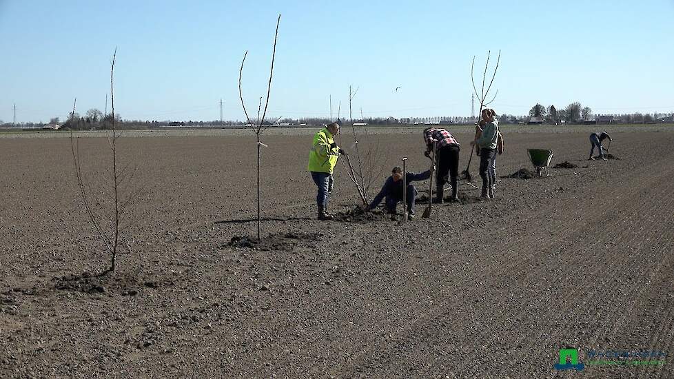 Agroforestry - Aanplant perceel bij Lizelore Vos