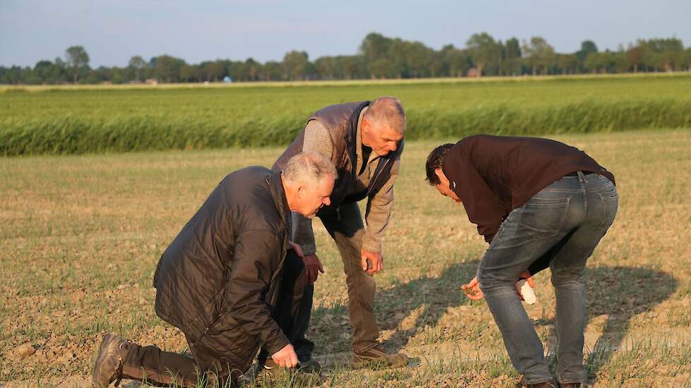 Even wat sneller rijden of een wat hogere veerdruk. In het veld is meteen te zien wat dat doet met het resultaat.