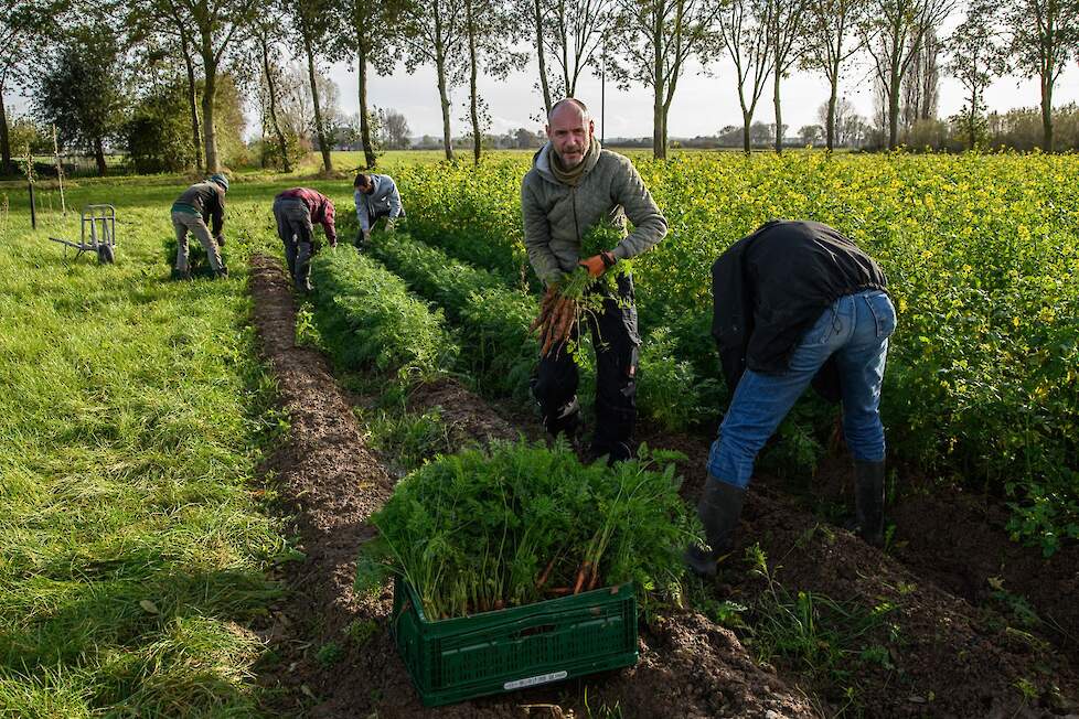 De tuinderij waar Eline Wielemaker voor verantwoordelijk is.