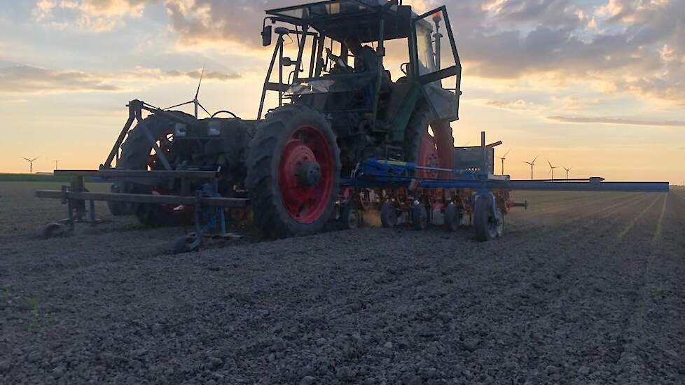 9 mei: Star Agro schoffelt de uien. Niet alleen voor het onkruid, ook om de bodem wat lucht te geven.