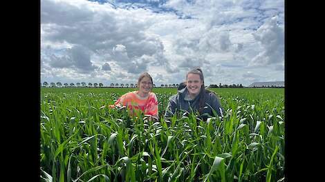 Biostimulanten in het veld