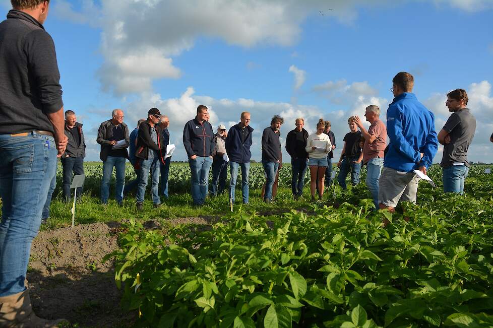 Tijdens de rondgang op het demoveld werd per ras ook de ontwikkeling van de knollen benoemd.