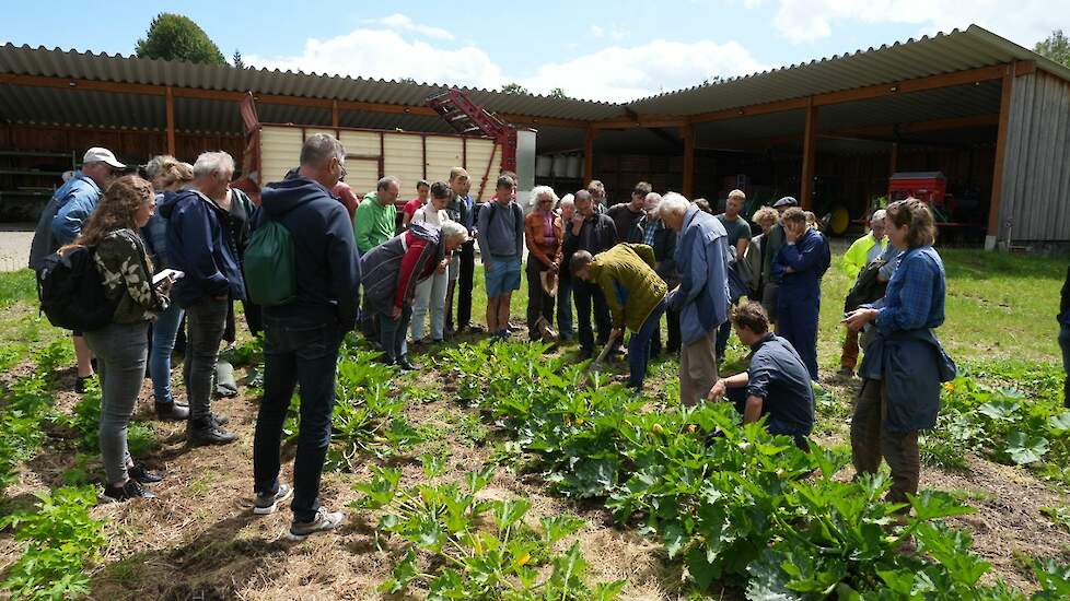 Groenteteelt in mulch